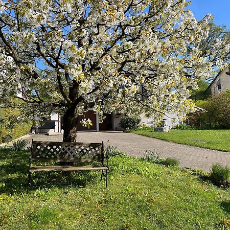 Ferienwohnung Am Kirschbaum Uhldingen-Mühlhofen Dış mekan fotoğraf
